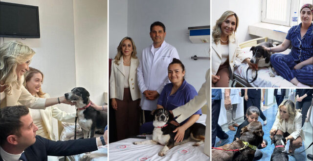 d9ec24d4 q817hd921alxad2avk99l