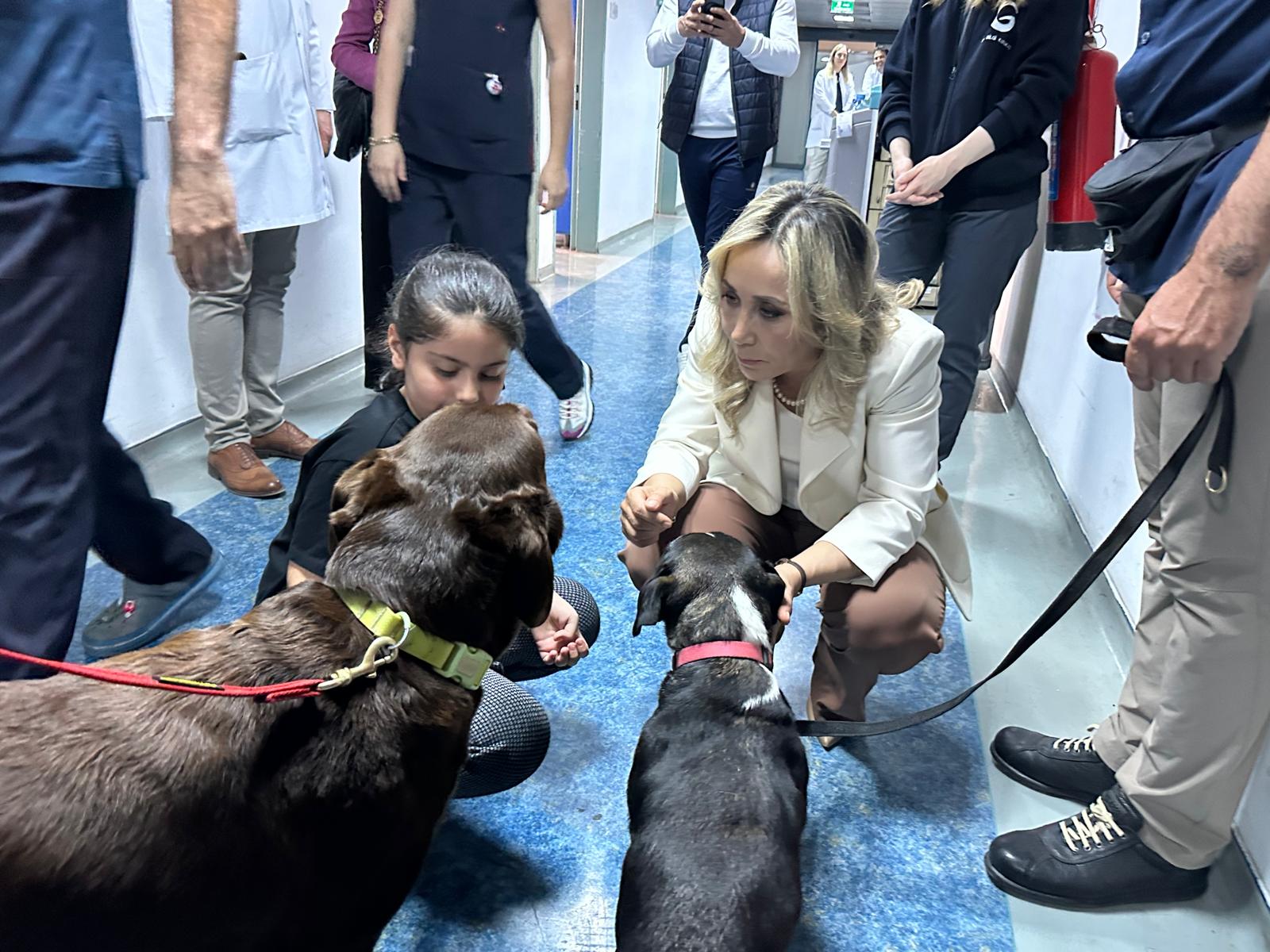 20250517 170515 20250517 170515