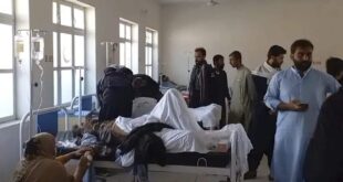 photo 2025 04 01 06 45 51