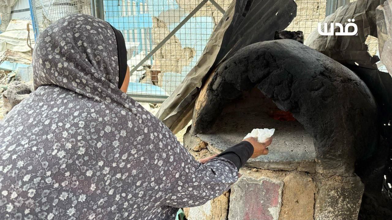 photo 2025 05 01 19 56 07