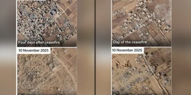 image 2025 11 13 23 06 50