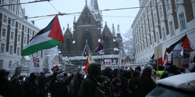 image 2025 06 03 21 28 40