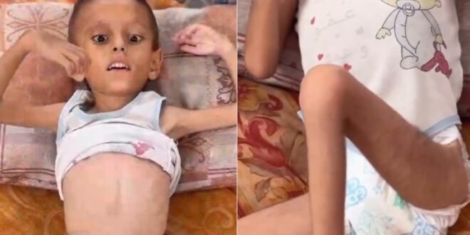 image 2025 08 14 12 04 54