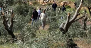 20a5db28 bb74 44ac aa51 146343ee73b8