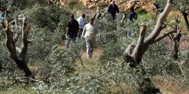 20a5db28 bb74 44ac aa51 146343ee73b8