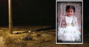 image 2025 03 08 15 06 38