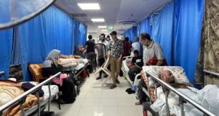 image 2026 02 15 20 50 15