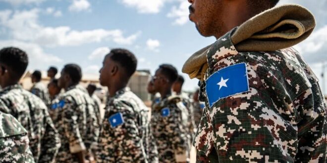 image 2025 11 07 14 55 05