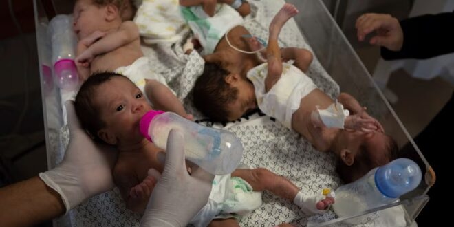 image 2025 05 20 17 17 18