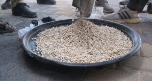 IMG 20250625 235944 482