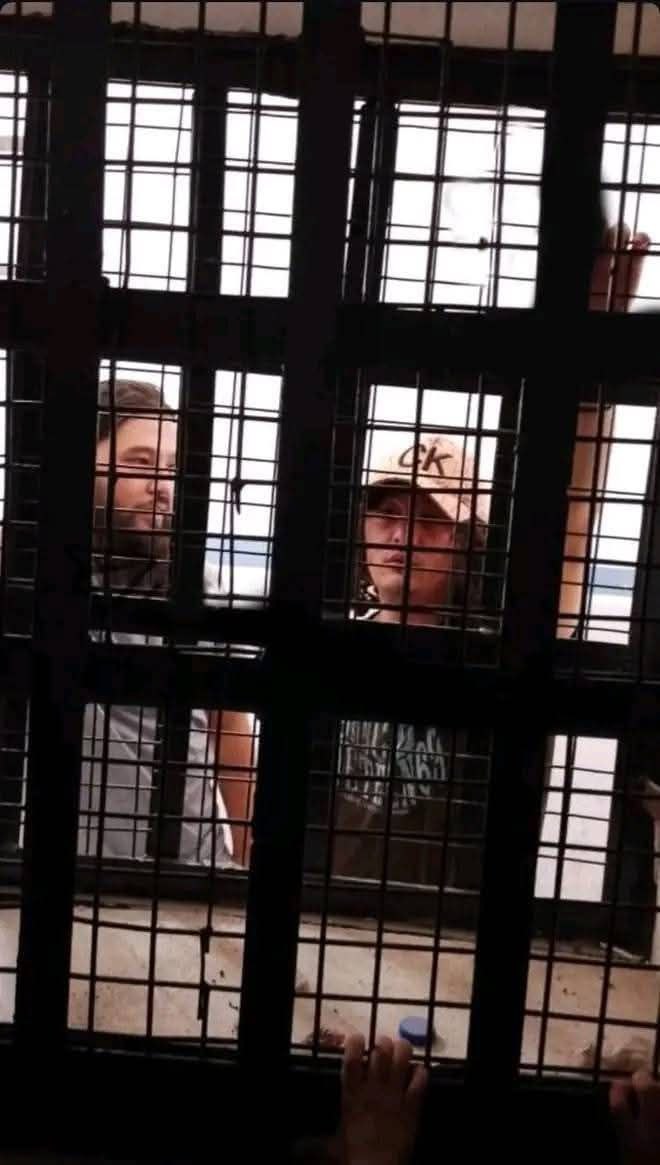 5992515324488042947 121