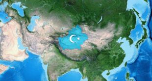 dogu turkistan harita