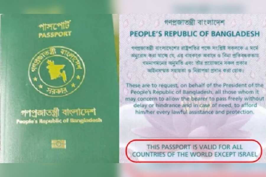 1744555635 new project 55