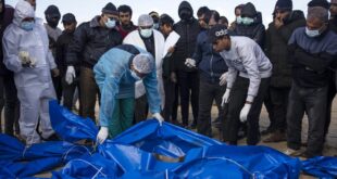 image 2025 12 03 18 25 49