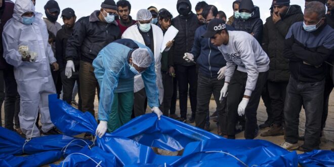 image 2025 12 03 18 25 49