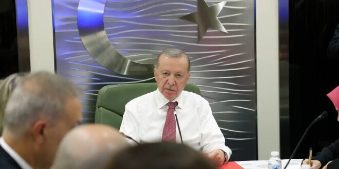 image 2025 12 13 18 24 36