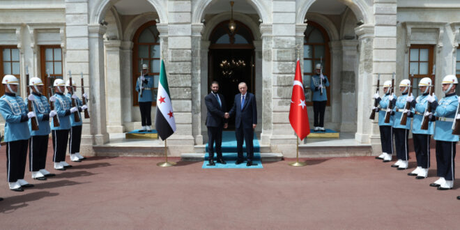 aa picture 20250524 38065686