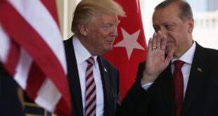 image 2025 06 15 23 07 46