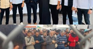 6041871572530218631 121