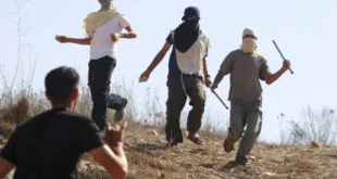 AP120105015099 1733538178