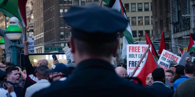 image 2025 06 07 16 42 58