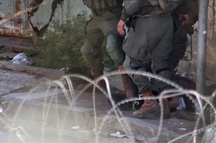 thumbs b c a672a582e12ba960b17eb5bd5a01a3b3