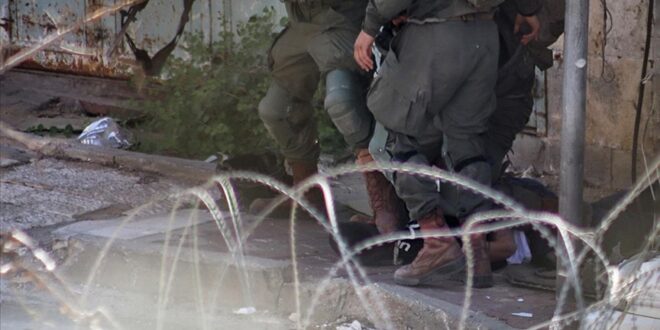 thumbs b c a672a582e12ba960b17eb5bd5a01a3b3