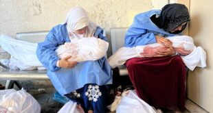 thumbs b c 9a65a1891bbdbf1d2842a0e02161194b