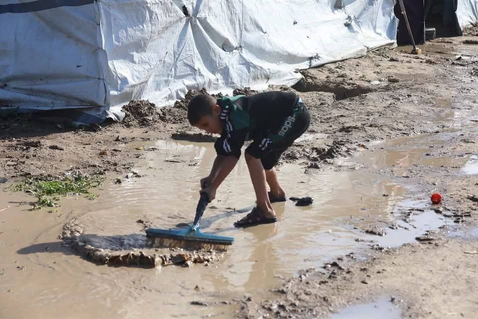 IMG 20251115 195900 742