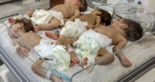 Gazze yetersiz beslenme