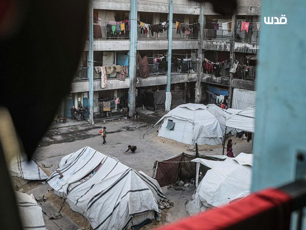 IMG 20260129 001423 452 IMG 20260129 001423 452