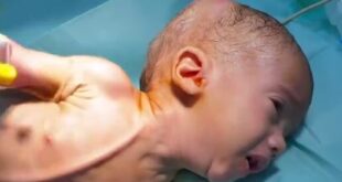 Ekran görüntüsü 2025 07 12 101105