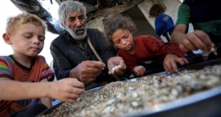 image 2025 09 29 19 31 16