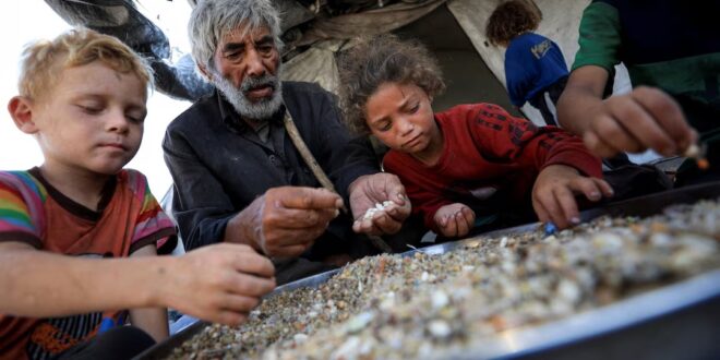 image 2025 09 29 19 31 16