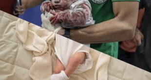 photo 2025 08 09 13 12 51