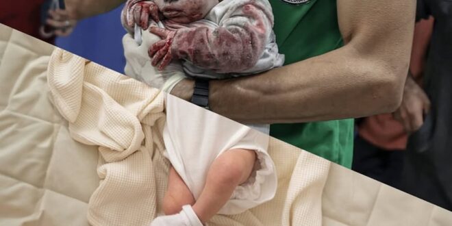 photo 2025 08 09 13 12 51