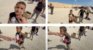 4920647695366991298 121