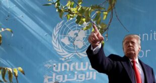 image 2025 04 26 20 10 13