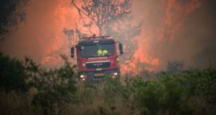 5805164951206217651 121