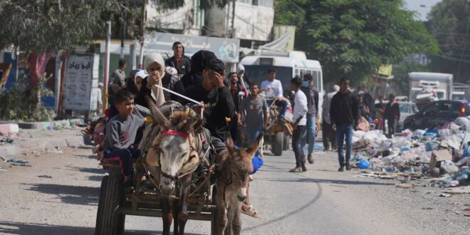 image 2025 09 13 16 36 41