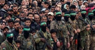 AP25039411935937 1739575795