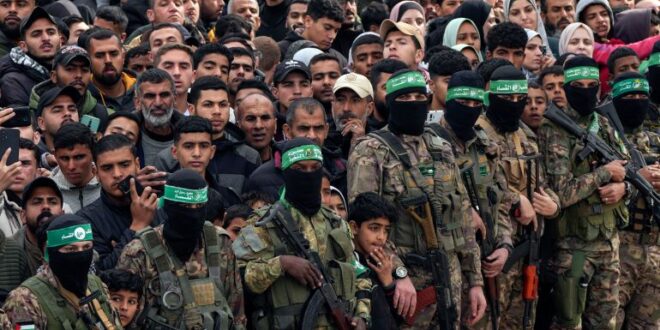 AP25039411935937 1739575795