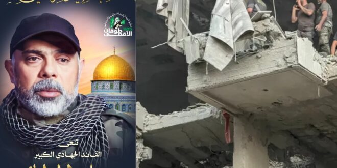 image 2025 11 24 14 18 16