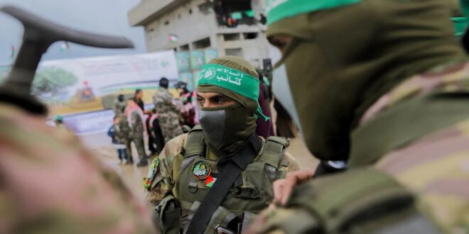 image 2025 10 03 23 29 09