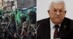 image 2025 04 27 23 04 12