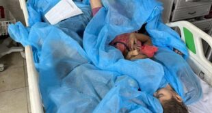 5848331562964338988 121