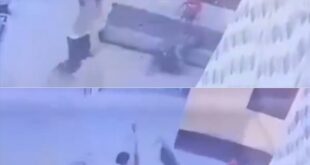 image 2025 04 28 16 44 44