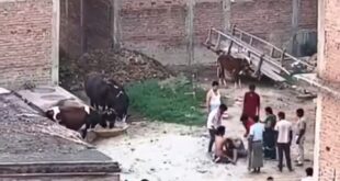 Screenshot 2025 05 15 16 53 18 602 edit org.telegram.messenger