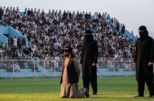 IMG 20251202 155038 525