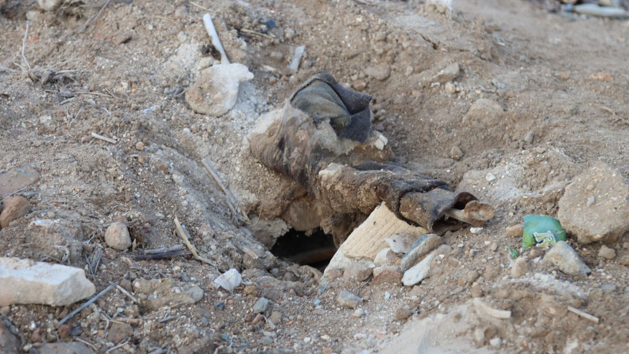 image 2025 11 26 14 19 20